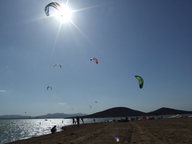  海岸上的风筝 
